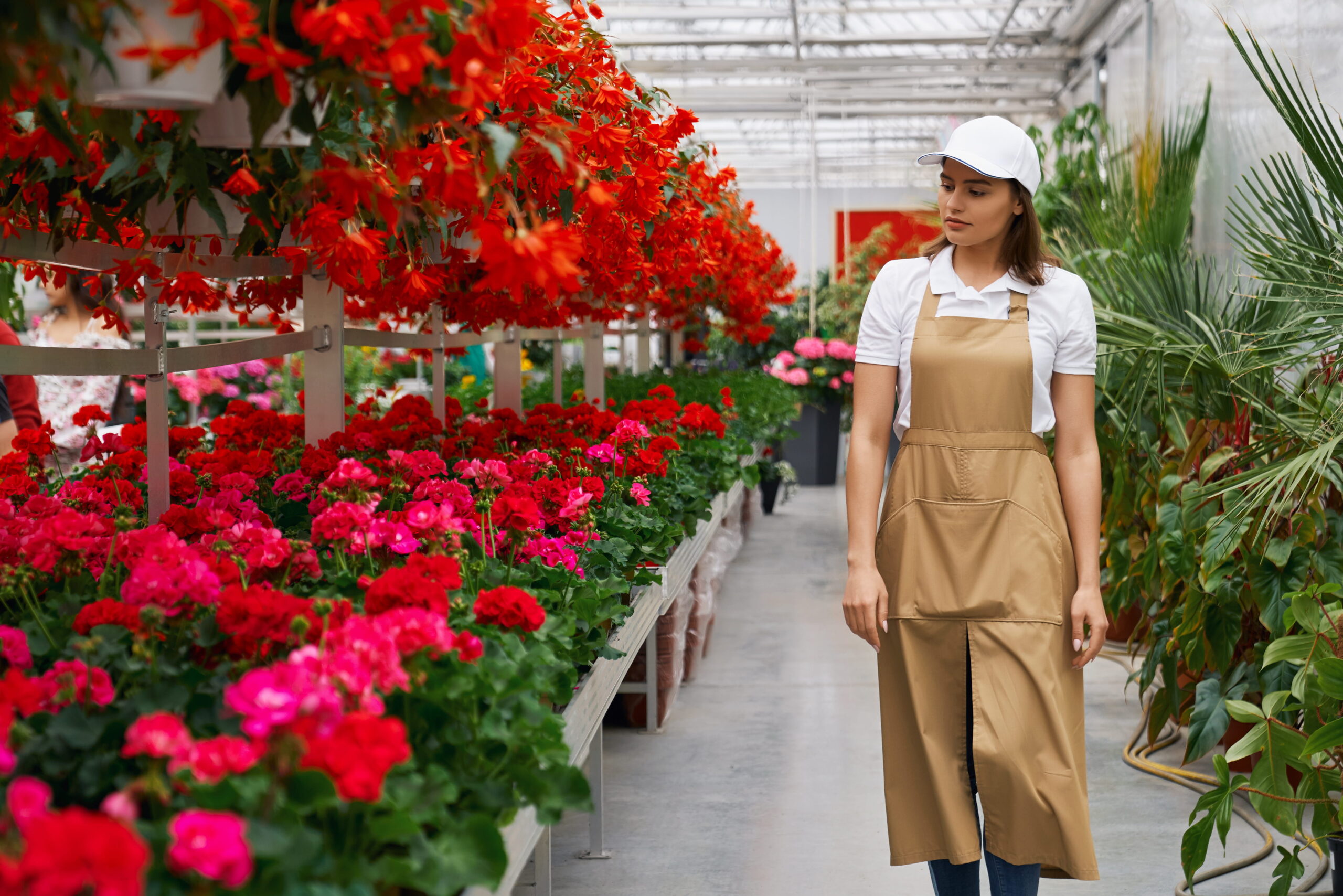 El papel de los cuartos fríos en la conservación de flores de exportación en Colombia