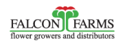 Logo 17 min